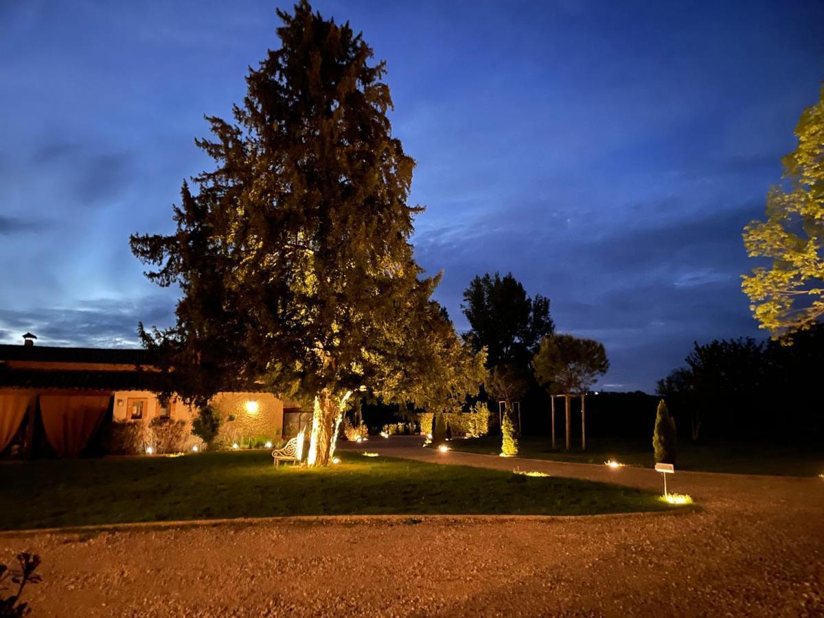 Chateau Du Go อัลบี ภายนอก รูปภาพ