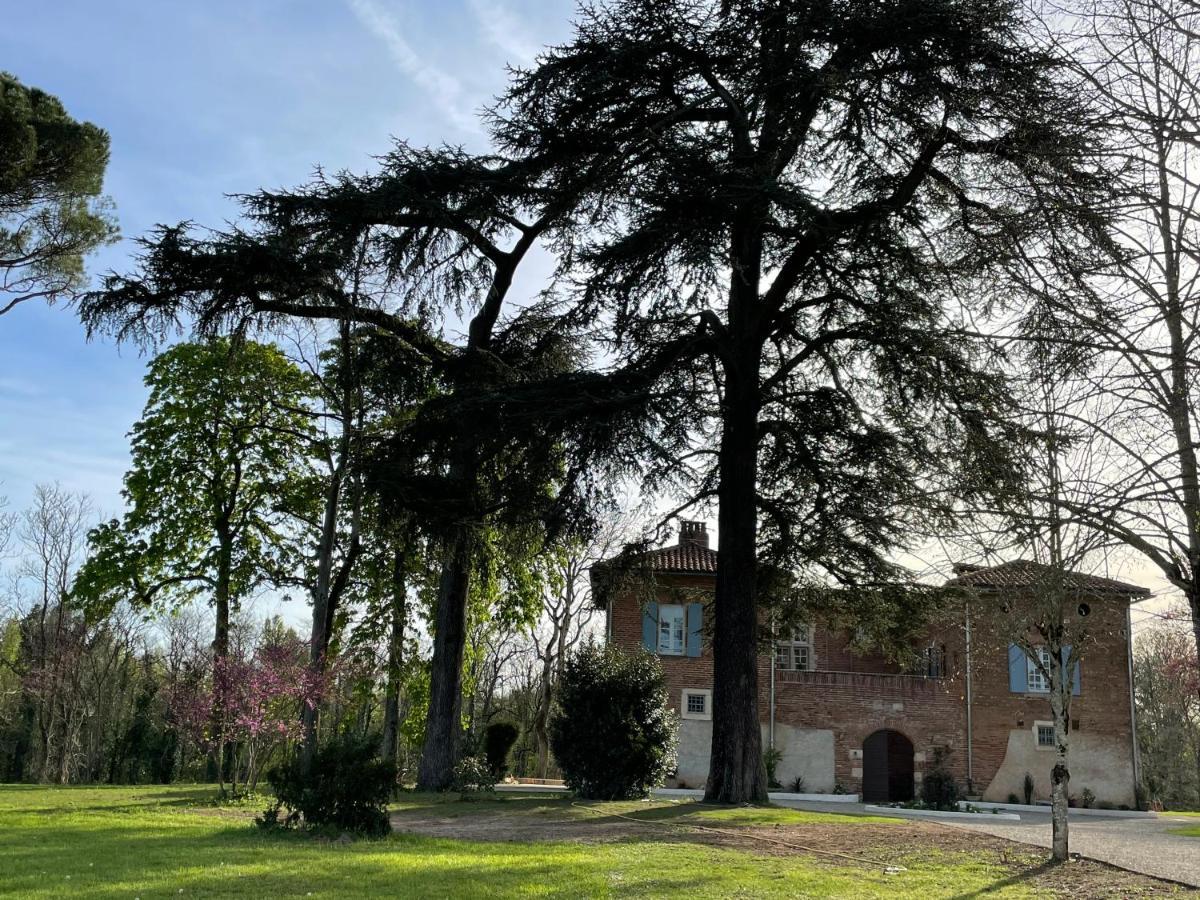 Chateau Du Go อัลบี ภายนอก รูปภาพ
