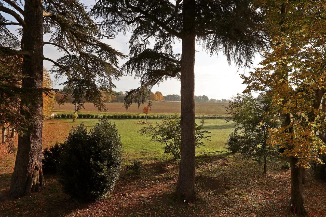 Chateau Du Go อัลบี ภายนอก รูปภาพ